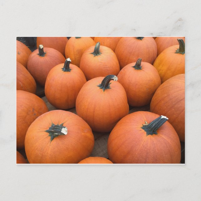 Happy Carving Postcard (Front)