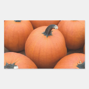 Happy Carving Rectangular Sticker