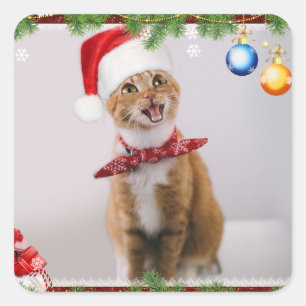 Happy cat in red christmas hat square sticker