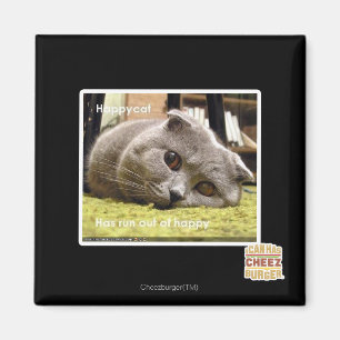 Happy cat, out of happy magnet