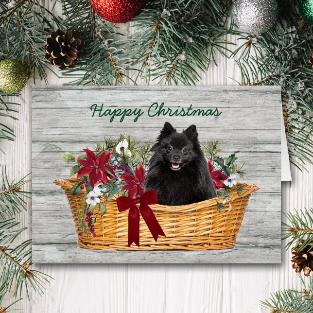 Happy Christmas Black Pomeranian Dog in Basket (Creator Uploaded)
