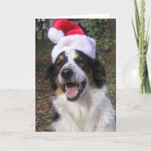 "Happy Christmas from Bryn" Holiday Card