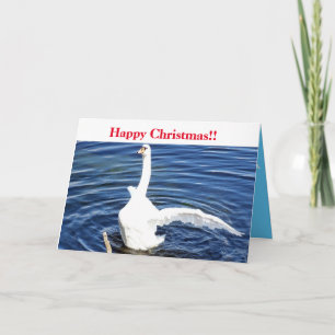 Happy Christmas Swan Card