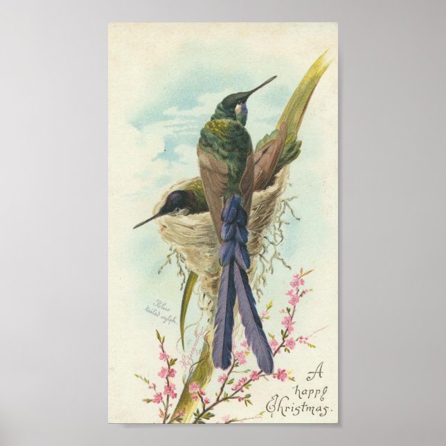 Happy Christmas Vintage Hummingbird Poster (Front)