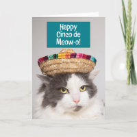 Happy Cinco De Mayo Funny Cat in Sombrero Humour 