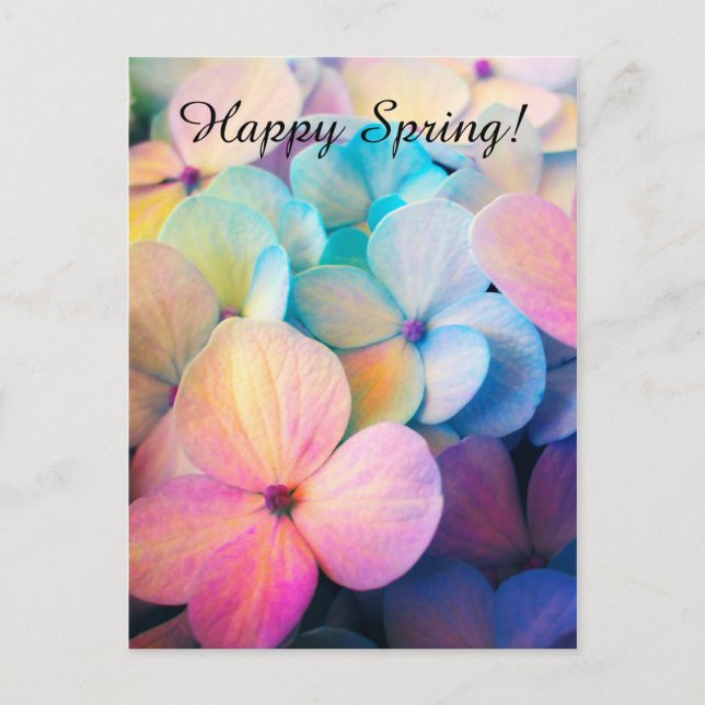 Happy Colourful Spring Flowers Postcard (Front)