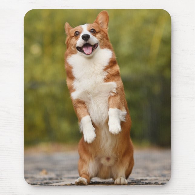 Happy Corgi Puppy Standing Photo Mouse Pad (Front)
