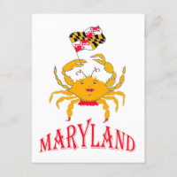 Happy crab  in Maryland