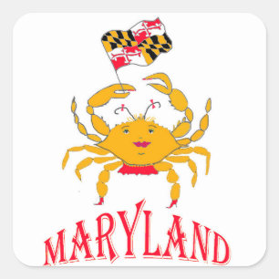 Happy crab in Maryland Square Sticker