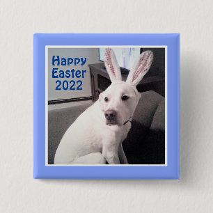 Happy Cute Puppy Dog With Easter Bunny Ears Blue 15 Cm Square Badge