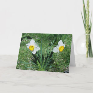 Happy Daffodils Holiday Card