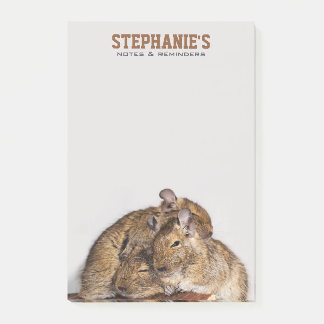 Happy Degu in a Degu Pile Post-it Notes (Front)