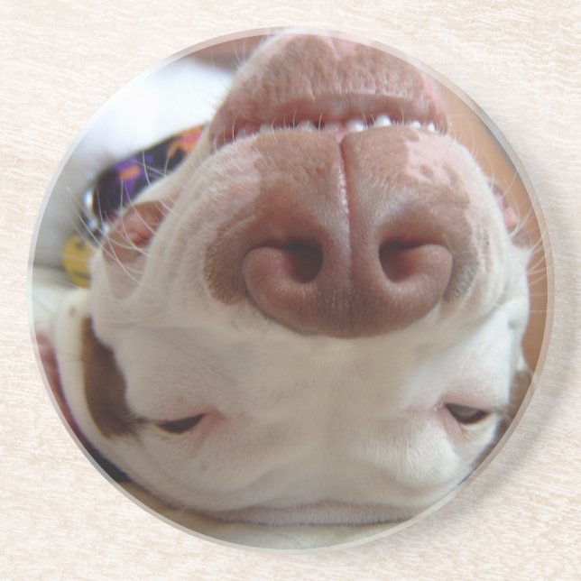 Happy Dog Coasters (Front)