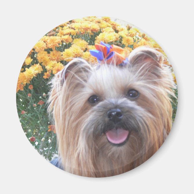 Happy Dog Magnet (Front)