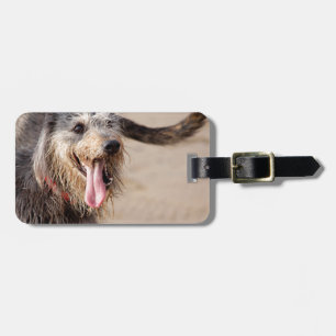 Happy dog on a beach luggage tag
