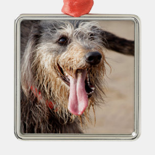 Happy dog on a beach metal tree decoration