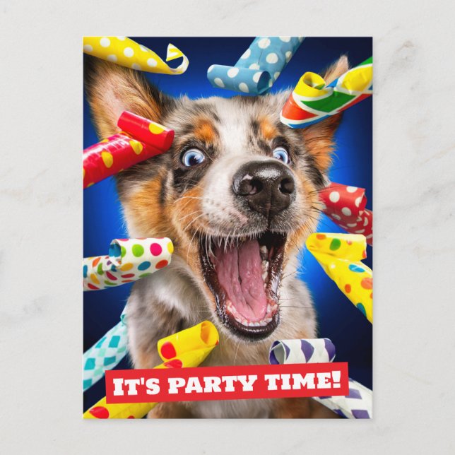 Happy Dog Party Blowers Postcard (Front)