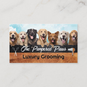 Happy Dogs in a Group Business Card
