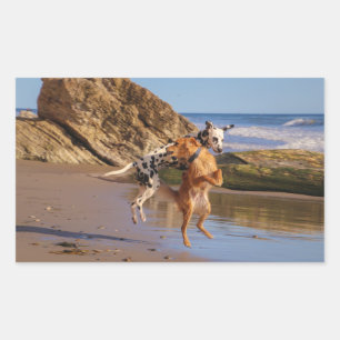 happy dogs rectangular sticker