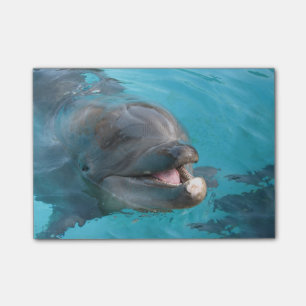 Happy Dolphin Post-it Notes