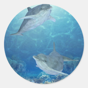happy dolphins classic round sticker