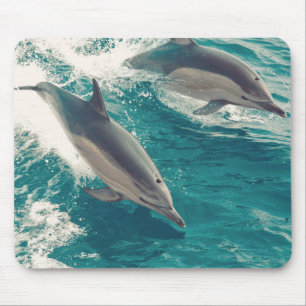 Happy Dolphins Mouse Pad