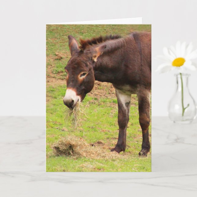 Happy Donkey Birthday Card (Small Plant)