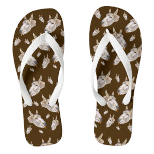 Happy Donkey Eating A Carrot, Jandals