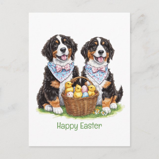 Happy Easter Bernese Mountain Dogs Postcard (Front)