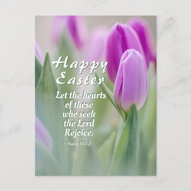 Happy Easter Bible Verse Pink Tulips Postcard (Front)
