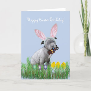 Happy Easter Birthday  Pitbull puppy card
