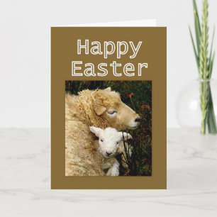 Happy Easter  Blessings - Ewe and Lamb Holiday Card