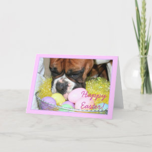 Happy Easter Boxer greeting card