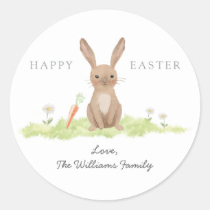 Happy Easter Bunny Rabbit  Classic Round Sticker