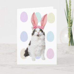 Happy Easter Cat in Bunny Ears Humour Holiday Card