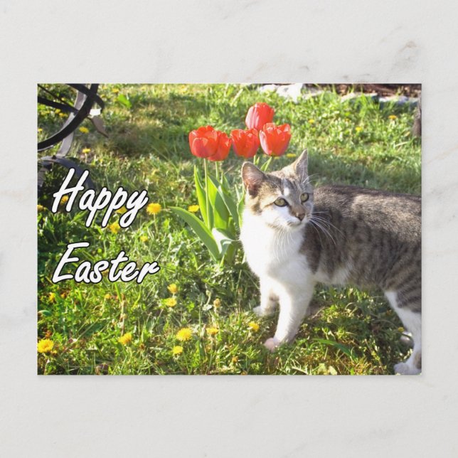 Happy Easter cat postcard (Front)