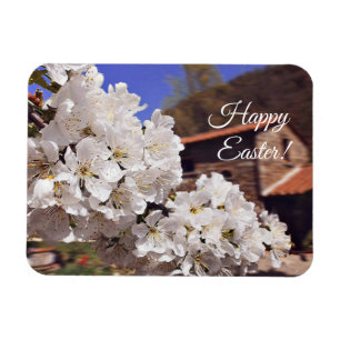 Happy Easter. Cherry Blossom. Magnet