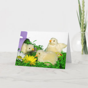 Happy Easter Chicks  Holiday Card