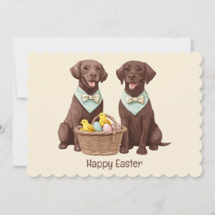 Happy Easter Chocolate Labrador Retriever Dogs Card