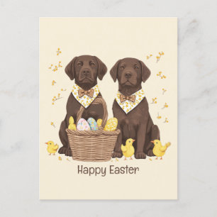 Happy Easter Chocolate Labrador Retriever Dogs Holiday Postcard