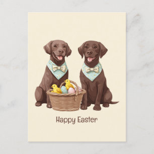 Happy Easter Chocolate Labrador Retriever Dogs Postcard