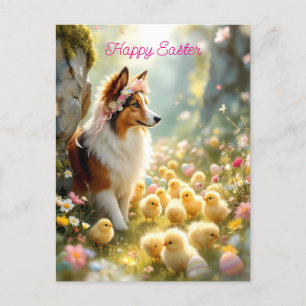 Happy Easter Collie and Chicks Postcard