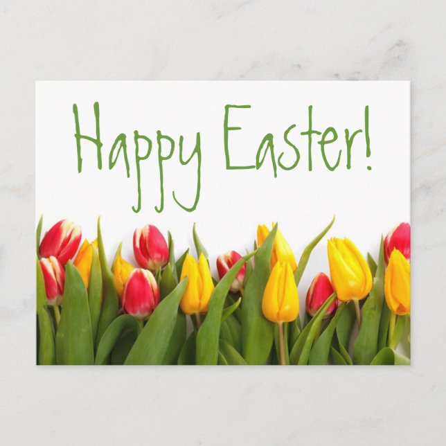 Happy Easter Colourful Spring Tulips White Back Holiday Postcard (Front)