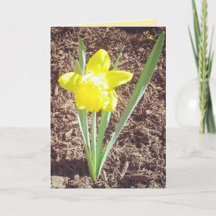 Happy Easter Daffodil Card