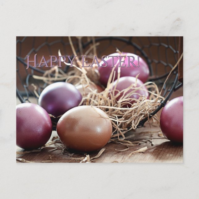 Happy Easter Egg Hunt Postcard (Front)