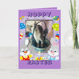 Happy Easter for a cat lover Holiday Card