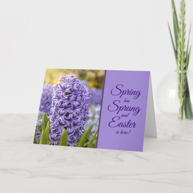 Happy Easter For Anyone Beautiful Purple Hyacinth Holiday Card (Front)