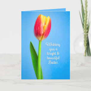Happy Easter For Anyone Beautiful Tulip on Blue Holiday Card