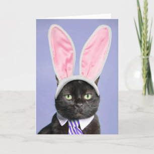 Happy Easter For Anyone Black Cat in Bunny Ears Holiday Card