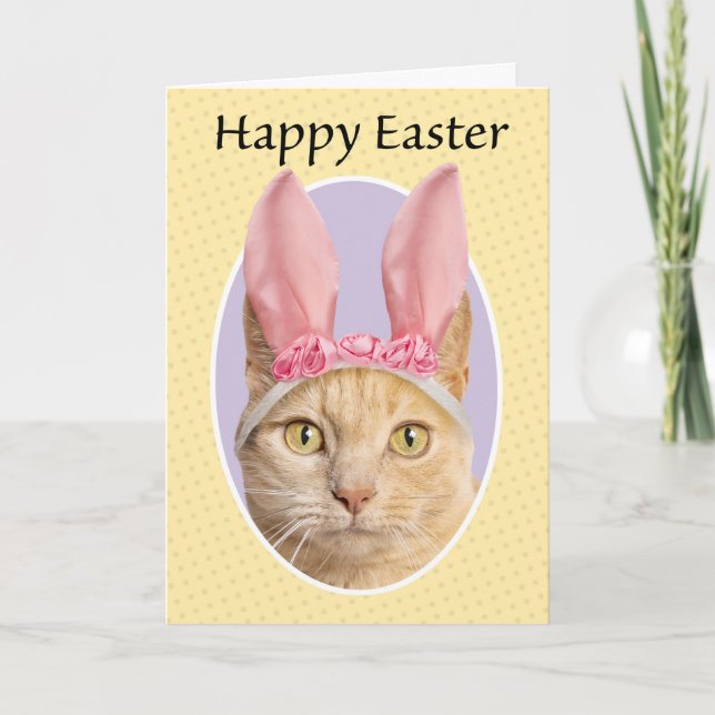 Happy Easter For Anyone Cute Orange Tabby Cat  Holiday Card (Front)